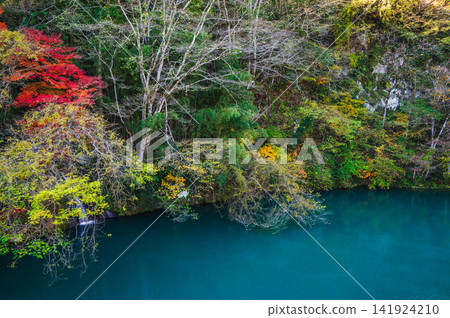 Kumeji Gorge in late autumn [Shinshu-Shinmachi, Nagano City] 141924210