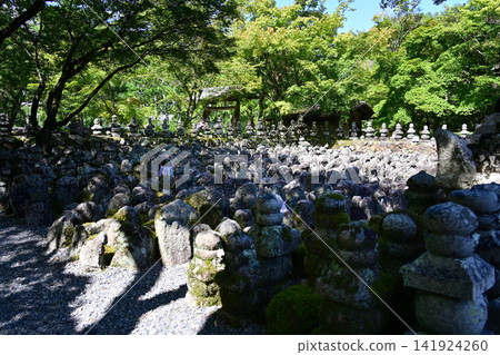 Adashino Nenbutsu-ji Temple, Stone Buddha, Landscape Adashino Nenbutsu-ji Temple, Stone Buddha, Landscape 141924260