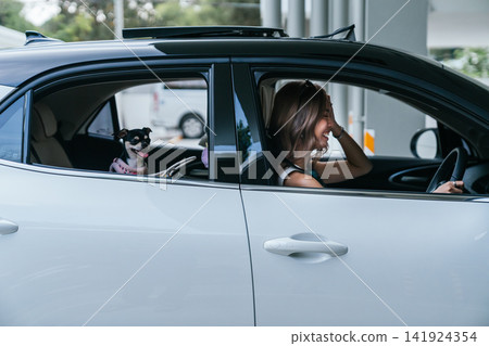 Woman and dog enjoying a happy road trip in car Woman and dog enjoying a happy road trip in car 141924354