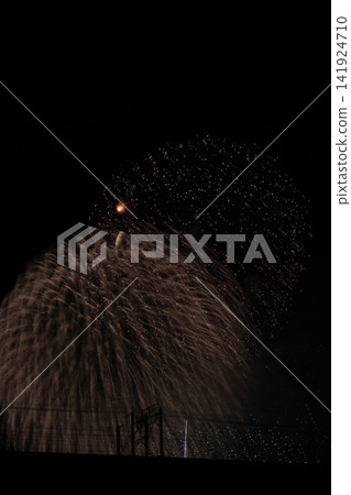 Fireworks in the fantastical night sky Fireworks in the fantastical night sky 141924710