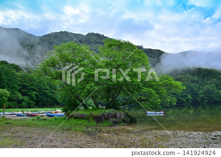 The shores of Lake Marunuma in the early morning mist The shores of Lake Marunuma in the early morning mist 141924924