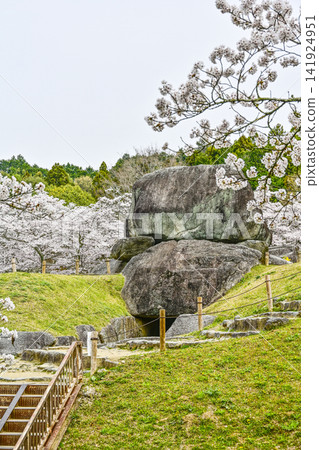 Ishibutai Tumulus and cherry blossoms (Ishibutai area, Asuka Historical National Government Park) Ishibutai Tumulus and cherry blossoms (Ishibutai area, Asuka Historical National Government Park) 141924951
