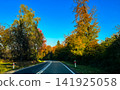 Empty Winding Asphalt Road Through Vibrant Autumn Forest Under Blue Sky in Countryside 141925058