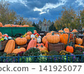 Autumn Halloween Pumpkin Patch Display with Decorative Flowers and Sky 141925077