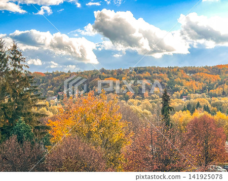 Colorful Autumn Forest Hills Under Blue Sky with Fluffy White Clouds Colorful Autumn Forest Hills Under Blue Sky with Fluffy White Clouds 141925078