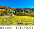 Small White House on Green Meadow with Autumn Forest Hills Under Blue Sky 141925094