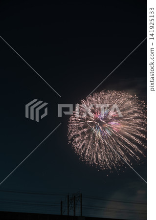 Large fireworks blooming in the night sky Large fireworks blooming in the night sky 141925133