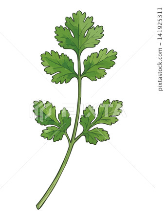 A mouthwatering illustration of pike cheese A mouthwatering illustration of pike cheese 141925311