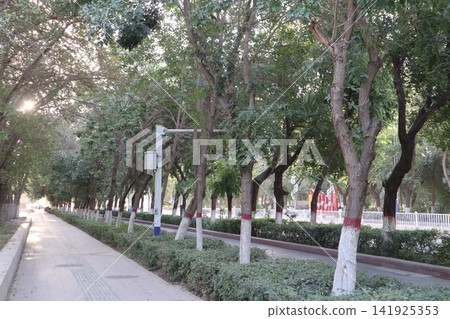 A scene from Turpan, one of the major cities in the Xinjiang Uyghur Autonomous Region of China's Silk Road. A scene from Turpan, one of the major cities in the Xinjiang Uyghur Autonomous Region of China's Silk Road. 141925353