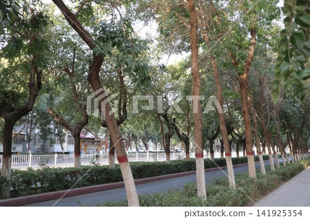 A scene from Turpan, one of the major cities in the Xinjiang Uyghur Autonomous Region of China's Silk Road. A scene from Turpan, one of the major cities in the Xinjiang Uyghur Autonomous Region of China's Silk Road. 141925354