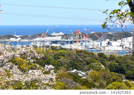 在神奈川縣立塚山公園,這個位於山上的著名賞櫻勝地,可以越過櫻花樹,看到橫須賀港來來往往的大型船舶。 在神奈川縣立塚山公園,這個位於山上的著名賞櫻勝地,可以越過櫻花樹,看到橫須賀港來來往往的大型船舶。 141925363
