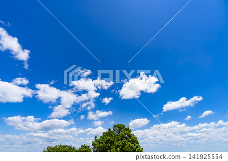 Summer blue sky and clouds and trees Summer blue sky and clouds and trees 141925554