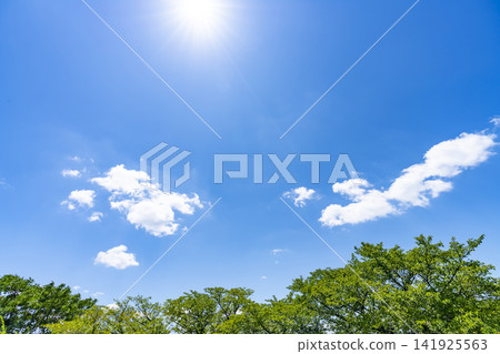 Summer blue sky and clouds and trees Summer blue sky and clouds and trees 141925563
