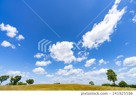 Summer blue sky, clouds, and grassland Summer blue sky, clouds, and grassland 141925586