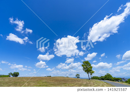 Summer blue sky, clouds, and grassland 141925587