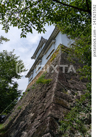 岡山縣津山市津山城(津山公園)修復後的備中塔樓和美麗的石牆。 岡山縣津山市津山城(津山公園)修復後的備中塔樓和美麗的石牆。 141925592