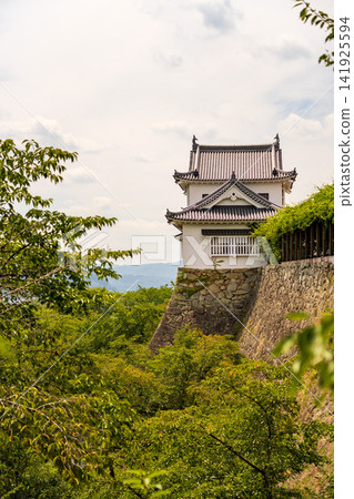 岡山縣津山市津山城(津山公園)修復後的備中塔樓和美麗的石牆。 岡山縣津山市津山城(津山公園)修復後的備中塔樓和美麗的石牆。 141925594