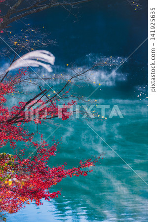 [Kumeji Gorge] River mist and autumn leaves [Shinshu-Shinmachi, Nagano City] 141925635