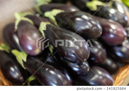 Heap of raw purple organic eggplants on vegetable counter 141925984