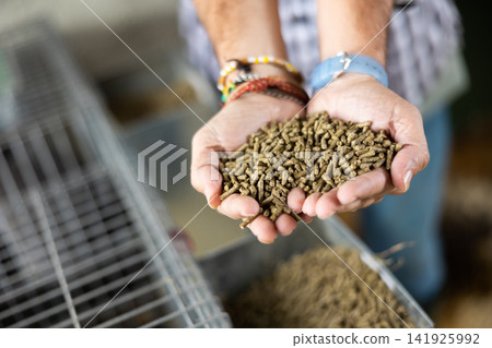 Closeup image of hands holding pet food Closeup image of hands holding pet food 141925992