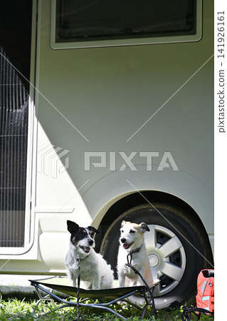 傑克羅素梗犬、露營車、露營 傑克羅素梗犬、露營車、露營 141926161