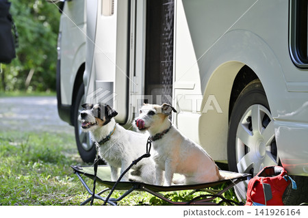 傑克羅素梗犬、露營車、露營 傑克羅素梗犬、露營車、露營 141926164