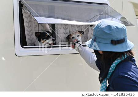 一位女士喜歡帶著她的狗——傑克羅素梗犬——開著露營車去露營。 一位女士喜歡帶著她的狗——傑克羅素梗犬——開著露營車去露營。 141926436