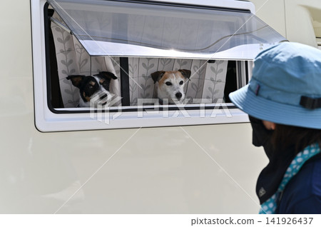 一位女士喜歡帶著她的狗——傑克羅素梗犬——開著露營車去露營。 一位女士喜歡帶著她的狗——傑克羅素梗犬——開著露營車去露營。 141926437