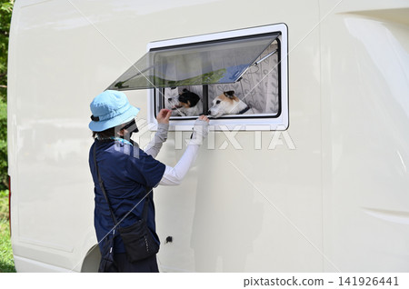 A woman enjoys camping with her dog in a campervan; Jack Russell Terrier. A woman enjoys camping with her dog in a campervan; Jack Russell Terrier. 141926441