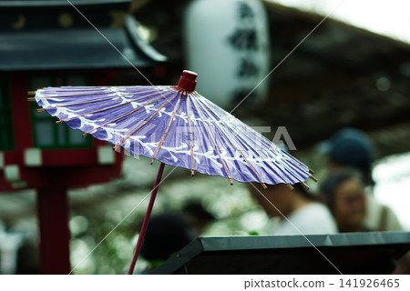竹林中盛開著一朵艷麗的紫色日本傘花。 竹林中盛開著一朵艷麗的紫色日本傘花。 141926465
