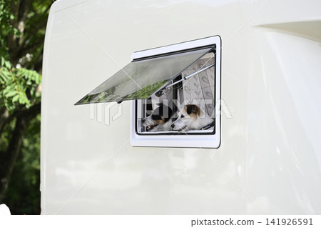 Camping trip with my dog in a campervan - Jack Russell Terrier Camping trip with my dog in a campervan - Jack Russell Terrier 141926591