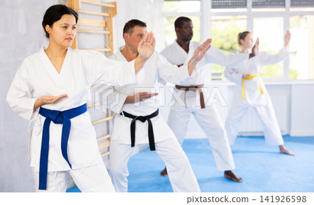 Group of multiethnic people training karate techniques Group of multiethnic people training karate techniques 141926598