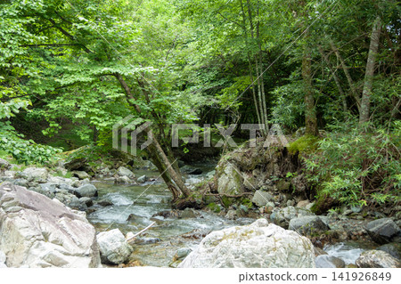 Image of a babbling stream Image of a babbling stream 141926849