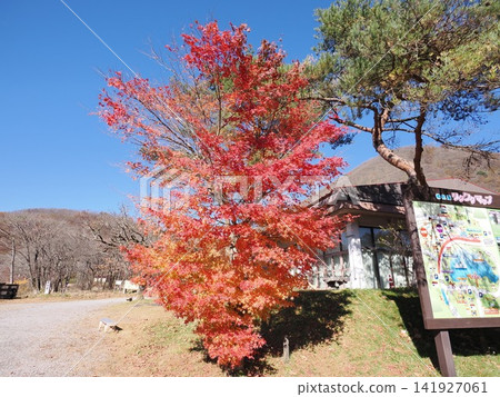 Autumn leaves at Haruna Park, Gunma Prefecture Autumn leaves at Haruna Park, Gunma Prefecture 141927061