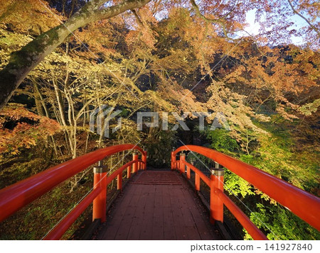 群馬縣伊香保市河鹿橋 群馬縣伊香保市河鹿橋 141927840