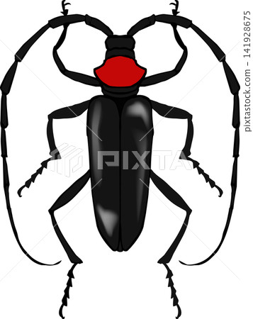 A realistic and simple illustration of the red-necked longhorn beetle. A realistic and simple illustration of the red-necked longhorn beetle. 141928675
