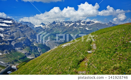 Scenery of Grindelwald Scenery of Grindelwald 141928746