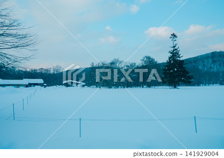 岩手縣白雪皚皚的群山 岩手縣白雪皚皚的群山 141929004