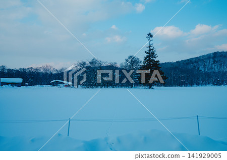 岩手縣白雪皚皚的群山 岩手縣白雪皚皚的群山 141929005