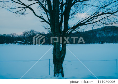 岩手縣白雪皚皚的群山 岩手縣白雪皚皚的群山 141929006