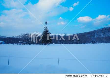 岩手縣白雪皚皚的群山 岩手縣白雪皚皚的群山 141929007