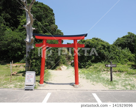 白濱神社,靜岡縣下田市 白濱神社,靜岡縣下田市 141929096