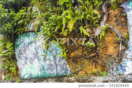 Rio de Janeiro Brazil City Street Art Graffiti and Paintings. Rio de Janeiro Brazil City Street Art Graffiti and Paintings. 141929430