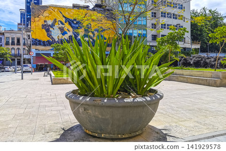 Rio de Janeiro Brazil City Street Art Graffiti and plants. Rio de Janeiro Brazil City Street Art Graffiti and plants. 141929578