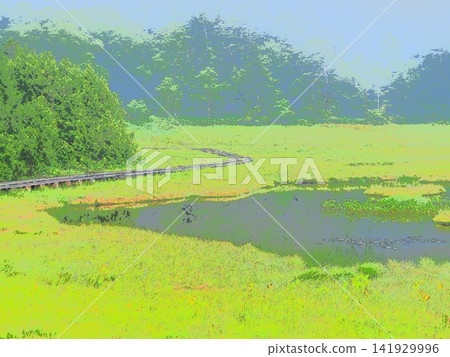 A high-altitude wetland enveloped in the morning silence (afr20260722053609) A high-altitude wetland enveloped in the morning silence (afr20260722053609) 141929996