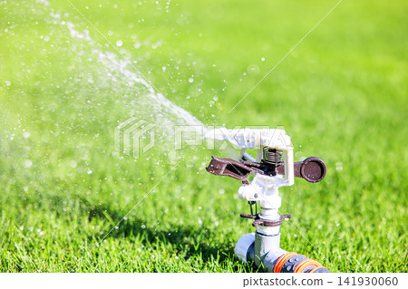 Lush green lawn and sprinkler watering on a sunny day Lush green lawn and sprinkler watering on a sunny day 141930060