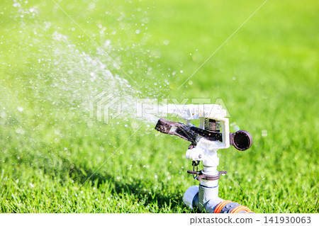 Lush green lawn and sprinkler watering on a sunny day Lush green lawn and sprinkler watering on a sunny day 141930063