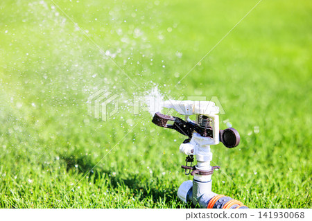 Lush green lawn and sprinkler watering on a sunny day Lush green lawn and sprinkler watering on a sunny day 141930068