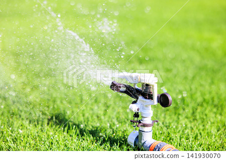 Lush green lawn and sprinkler watering on a sunny day Lush green lawn and sprinkler watering on a sunny day 141930070