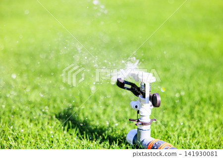 Lush green lawn and sprinkler watering on a sunny day Lush green lawn and sprinkler watering on a sunny day 141930081